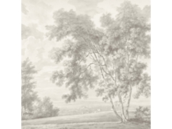 Fondos de pantalla para principiantes: paisaje en sepia y crema.