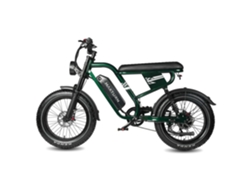 Bicicleta Eléctrica Maxturn Mx10 - Motor 500w Batería 48v13.5ah Neumáticos De 20" Freno De Disco Hidráulico - Verde