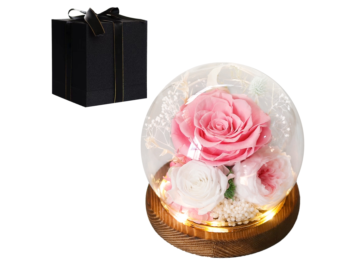 Rosa preservada con pilas para el Día de la Mujer y el Día de San Valentín.