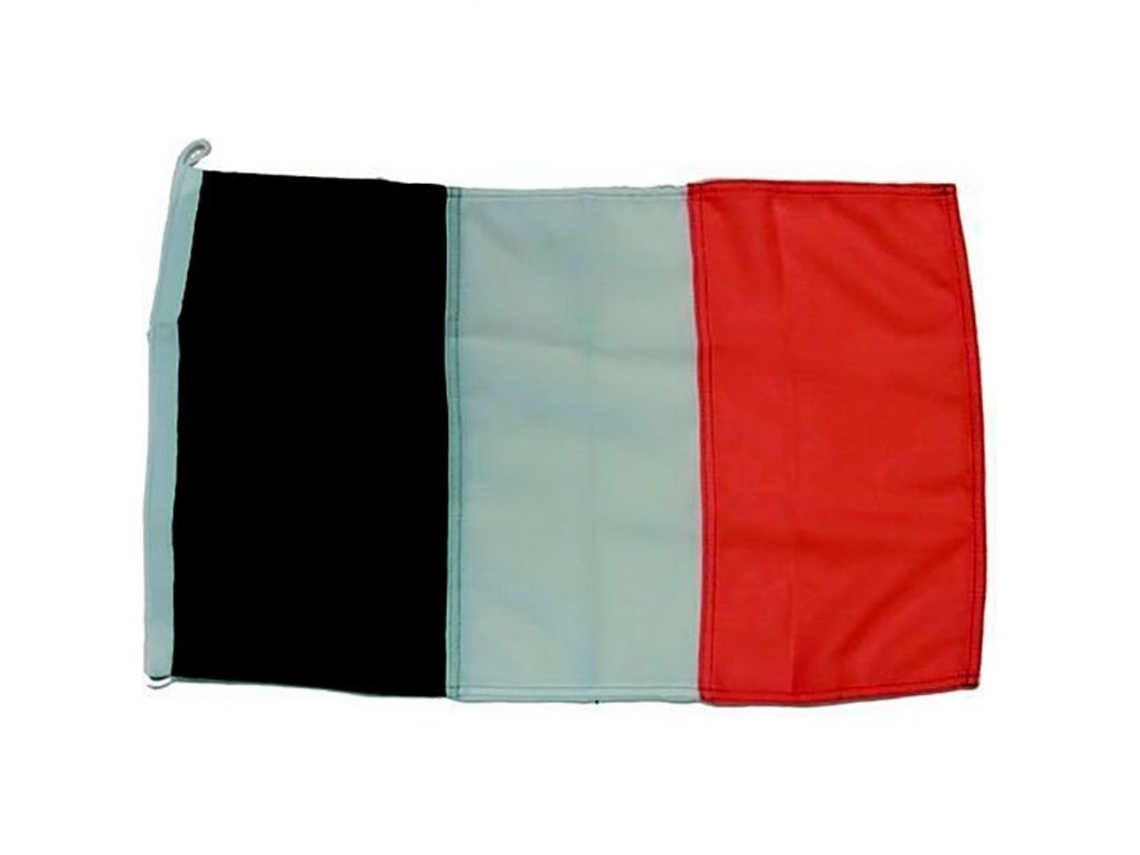 Bandeira Da Irlanda Colorido 30 X 45 Cmgoldenship