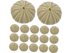 18 Piezas De Conchas De Erizo De Mar Naturales Para Decoración De Acuarios, Manualidades