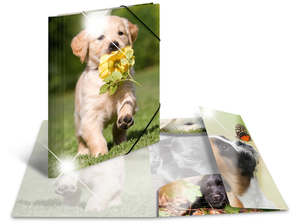 Carpeta de esquina HERMA Perros PP brillante Din A4