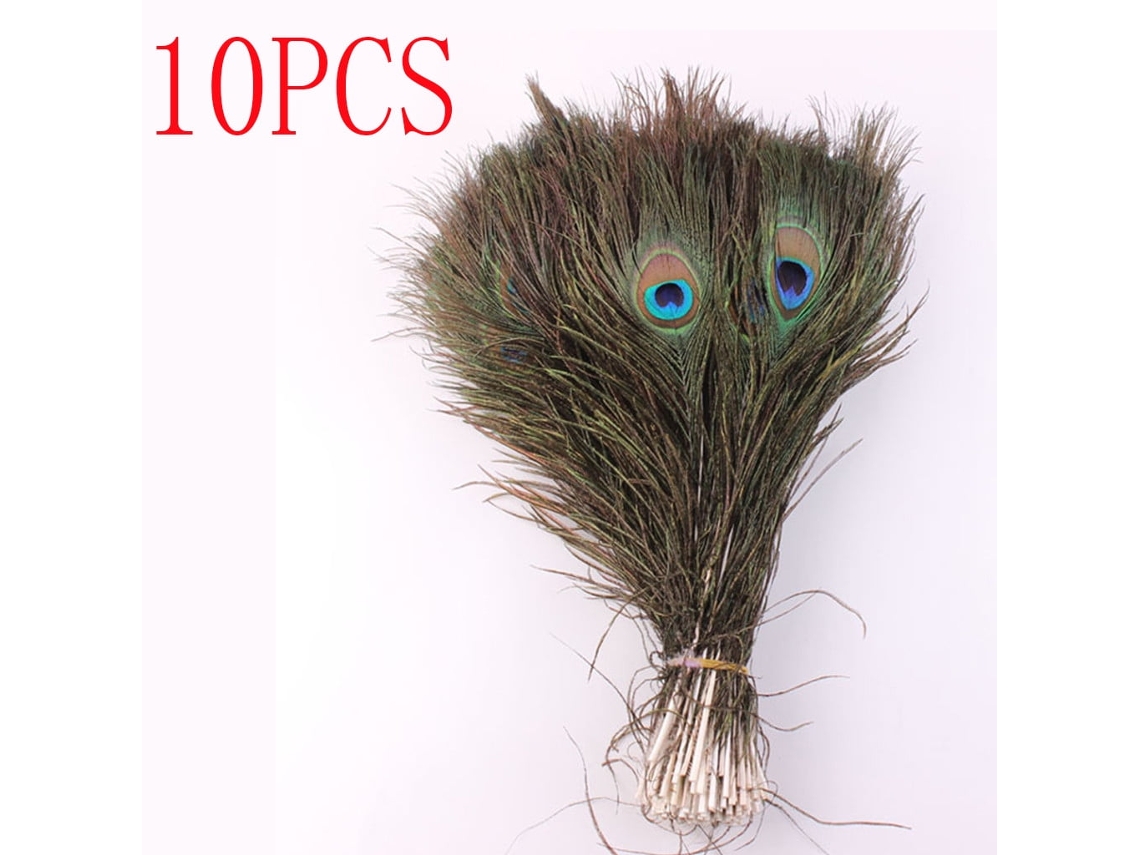 Lote De 10 Plumas De Pavo Real Naturales Para Manualidades (23-30 Cm/10-12 Pulgadas)