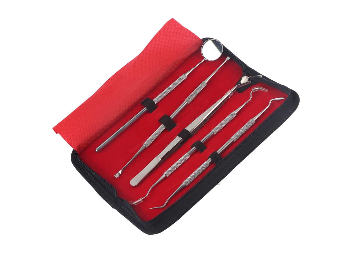 Kit Profesional De Limpieza Dental De 5 Piezas Con Acero Inoxidable Y Bolsa De Almacenamiento.