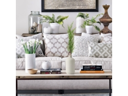Plantas de ciprés simuladas (Decoración del hogar, Simulación realista)