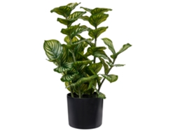 Planta Artificial Beliani Orbifolia De Material Sintético Verde 28x28x50