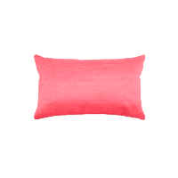 Cojines Decorativos