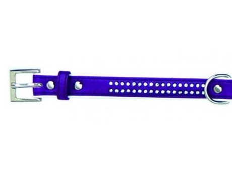 Collar para Perros FREEDOG (45 cm x 19 mm)