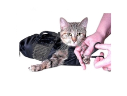 2026-bolsa De Restricción Para Baño Y Cuidado De Gatos Con Malla Resistente Para Recorte De Uñas Y Claws