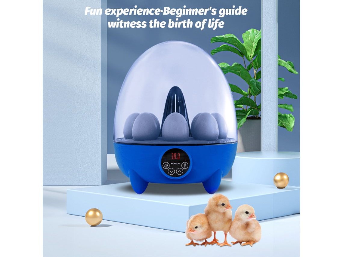 Incubadora Para 8 Huevos Con Luz Led, Control De Temperatura Y Visión De 360 Grados Para Gallinas, Patos, Gansos Y Codornices.