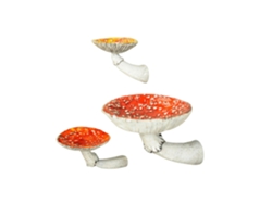 Estante de pared de resina con forma de hongo, 3 piezas