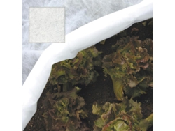 Malla protectora para plantas (1,6x 250 metros)