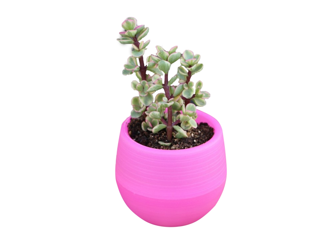 Mini Maceta De Plástico Para Plántulas De Suculentas Con Orificios De Drenaje, Para Jardín O Balcón, Color Rojo Rosado.
