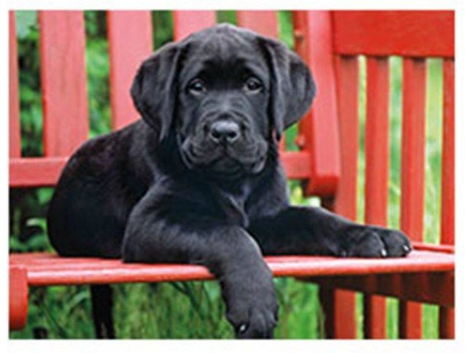 Puzzle CLEMENTONI The Black Dog