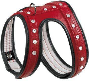 Ferplast Arnes Joy s red negro mediano para perros one touch rojo porte pequeño