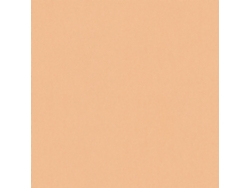 377021-Gu Papel Pintado Liso Mate Tono 5 33 M2 PROFHOME