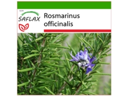 SAFLAX Romero 100 semillas Con sustrato de cultivo libre de gérmenes Rosmarinus officinalis