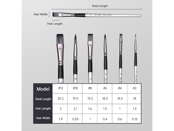 Conjunto De 6 Pinceis Para Pintura Flat Round Com Cabelo De Nylon E Cabo De Madeira Para Iniciantes