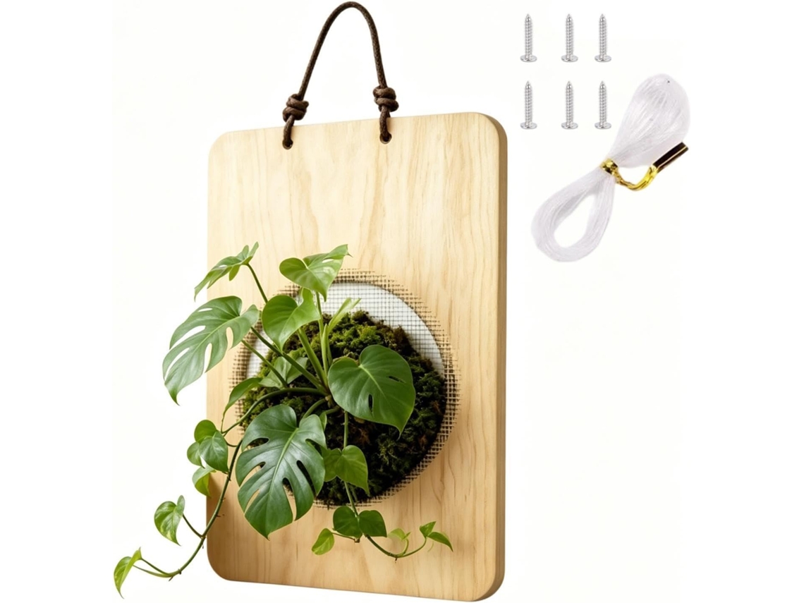 Tabla De Montaje Para Helecho Cuerno De Ciervo – Maceta Vertical De Madera, Soporte Para Plantas Trepadoras, Tabla,