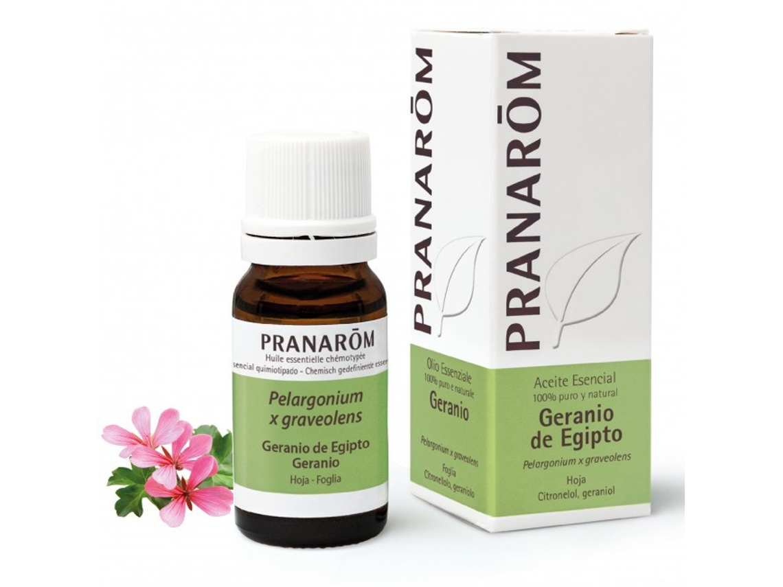 Aceite esencial de geranio egipcio Pelargonium orgánico 10 ml Pranarom