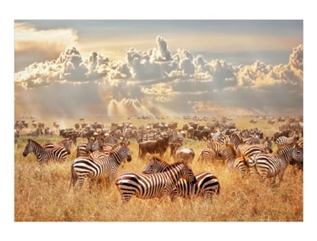 Papel de Pared ARTGEIST Zebra Land (200x140)
