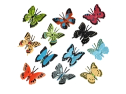 Ats-12 Figuras De Mariposas Modelo Animal Plástico Figuras De Insectos Realistas Regalos De Fiesta Juguetes Educativos Para Niños Y Niñas