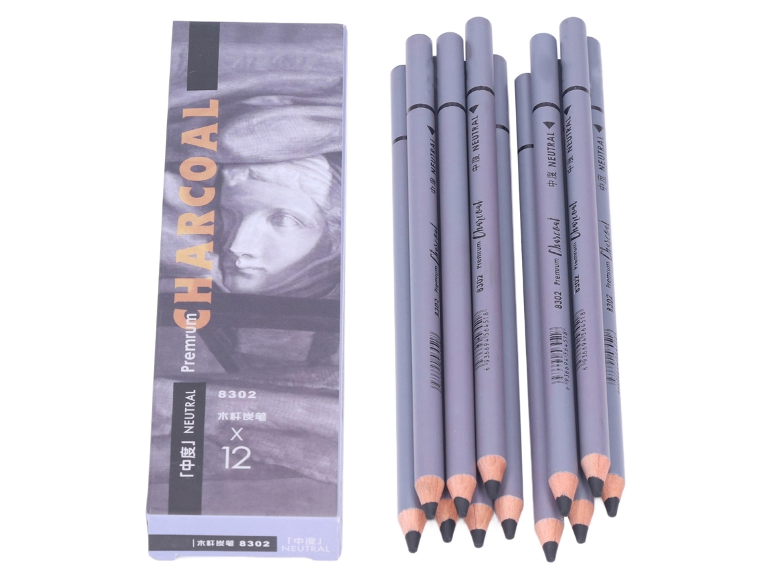 Juego De 12 Lápices De Carboncillo Flexibles Para Dibujo, Boceto Y Pintura De Detalle.