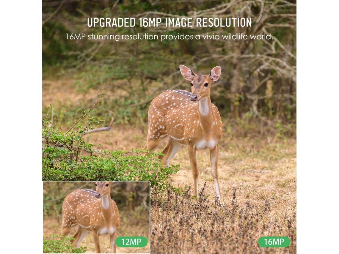 Câmera De Caça Trail 16mp 4k Impermeável Com Visão Noturna Para Monitoramento De Vida Selvagem