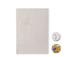 Hoja A5 De Papel Con Semillas