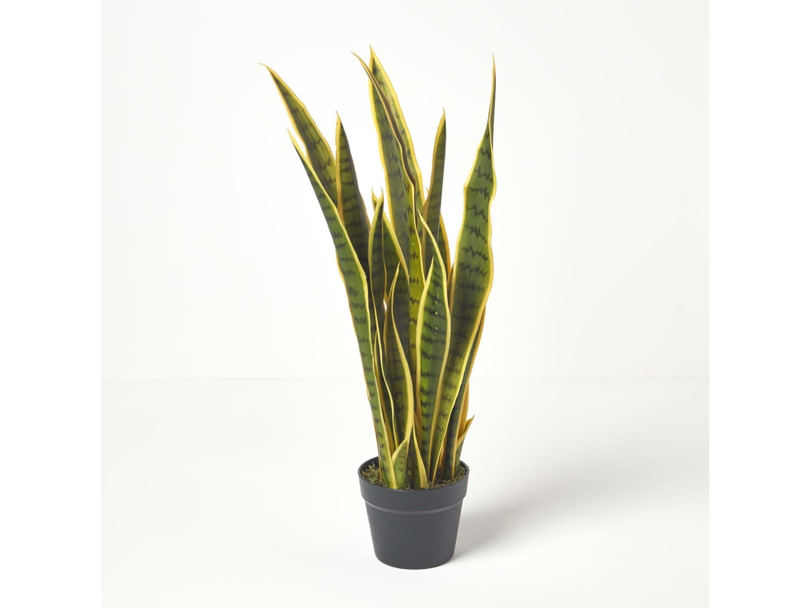 Planta de serpiente verde y amarilla de Homescapes, 74 cm de altura