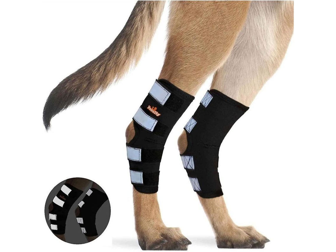 2026-soporte Para Tobillos De Perro Con Correas Reflectantes, Par De Brazaletes Para Lesiones Y Esguinces De Piernas Traseras M