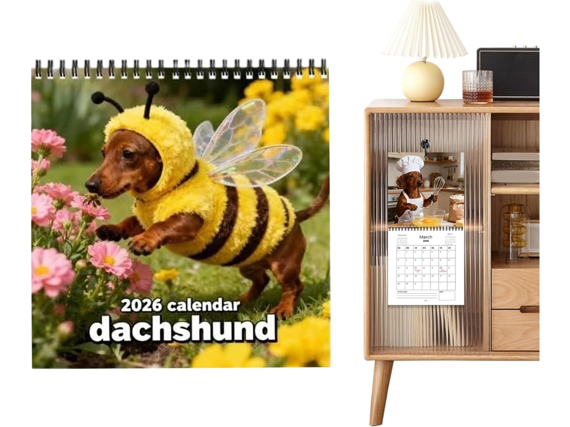 Calendario 2026 - Planificador De Pared Semanal Y Mensual Con Diseño De Perros Salchicha Para Vacaciones