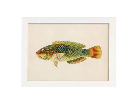 Póster NACNIC de Pez Verde, Naranja, Amarillo, Azul en , Fondo Papel Vintage.