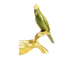 Cuenco Decorativa Parrot Guard