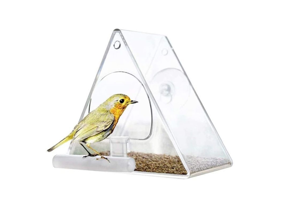 Comedero Para Pájaros Con Ventana Transparente, Cadena Metálica Y Ventosas.