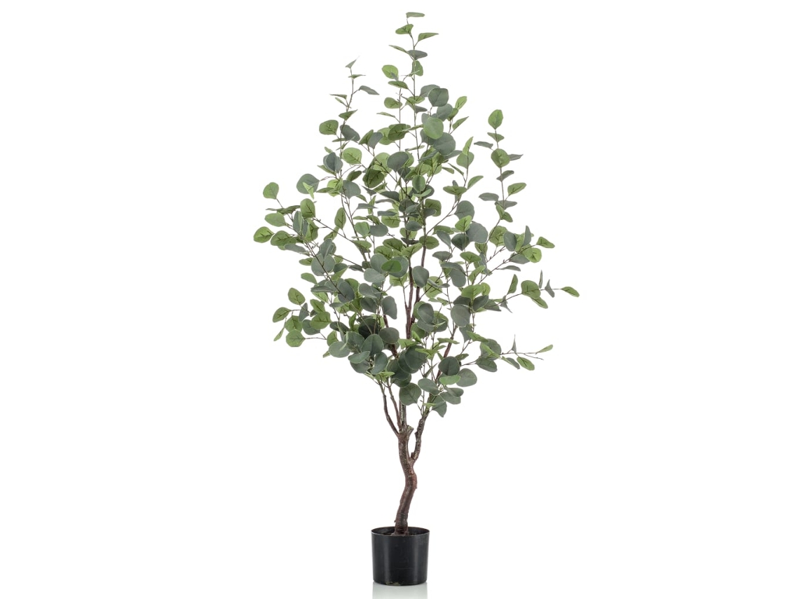 Planta artificial EMERALD Verde Polietileno (12 x 12 cm)