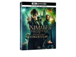 Película Animales fantásticos 1 - 3