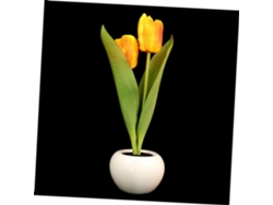 Lámpara Led Decorativa Para Bonsáis, Luz Nocturna Para El Hogar, La Oficina O Los Dormitorios, Altura Ideal Para Crear Un Ambiente Cálido.