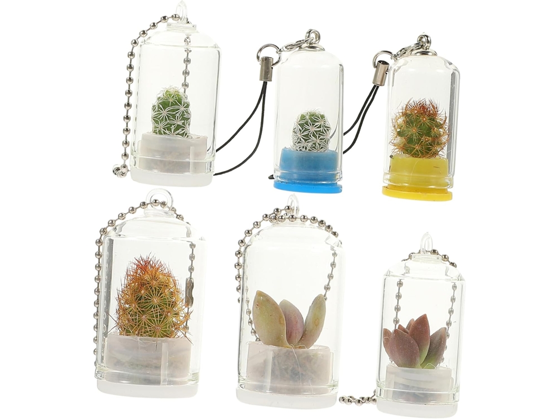 6piezas Llavero Recipiente De Mini De Colgante Miniatura Para Plantas Aéreas Llavero Dije De Jarrón
