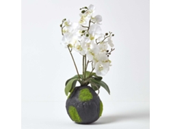 Orquídea artificial Phalaenopsis blanca de Homescapes con base natural, 60 cm de altura