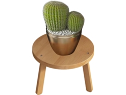 Taburete Con Soporte Para Plantas, Base De Madera, Plataforma Elevada Con Acabado Natural, Expositor Decorativo De