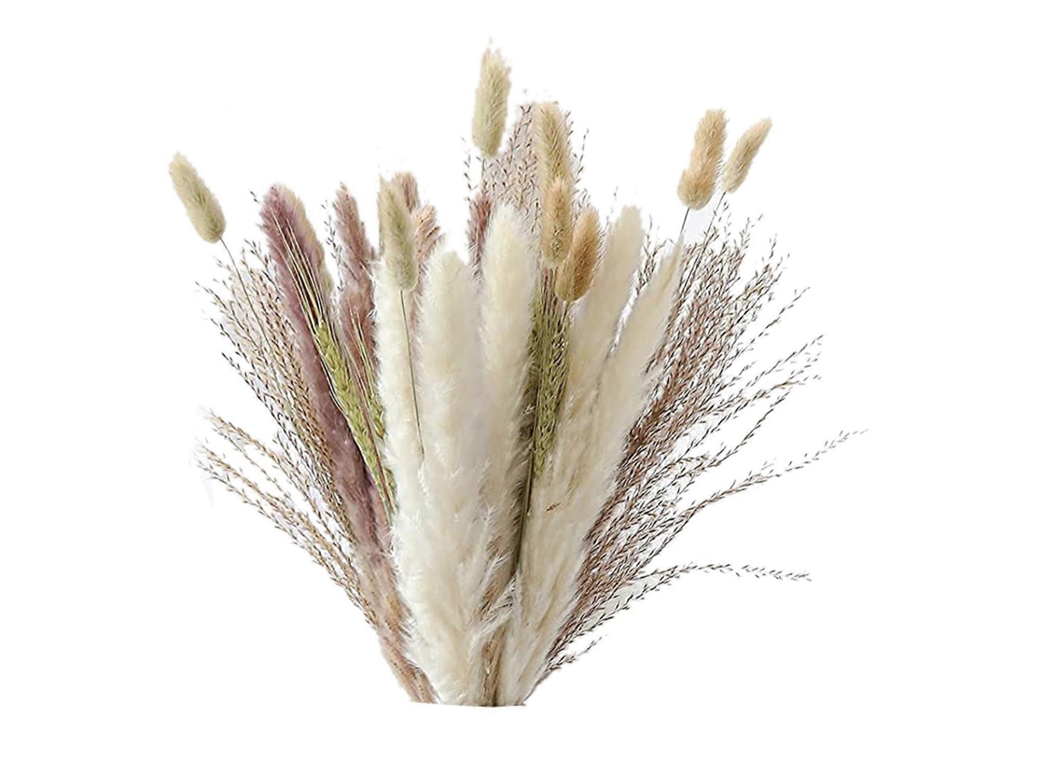 Natural Pampas Grass Decor 40 Pieces, 45cm Natural Dried White Bunny Tail Wheat Dust Pampas Grass P