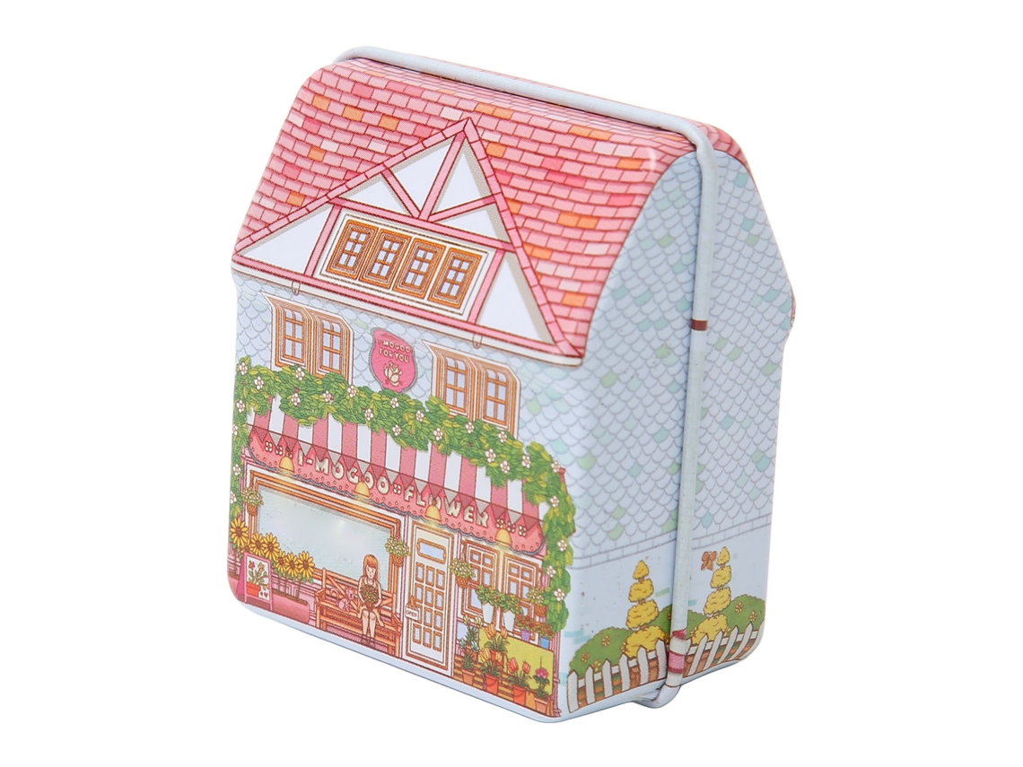 Caja de música portátil de hojalata con un bonito mecanismo en forma de casa.
