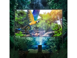 Pantalla De Proyector Blitzwolf Bw-vs6 De 100 Pulgadas Con Soporte Estable, Resolución 4k 16:9, Plegable, Antiarrugas, Fácil Instalación