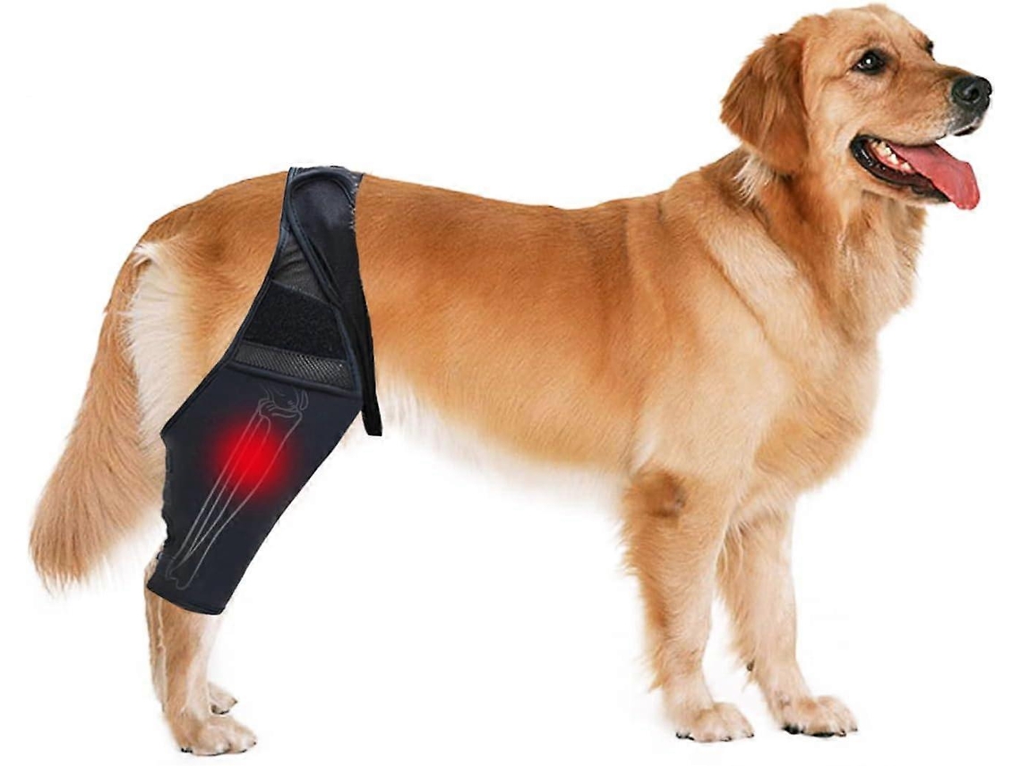 Soporte para rodilla de perro: soporte para cadera y pata trasera para ligamentos desgarrados, LCA, luxación rotuliana, ajustable en L
