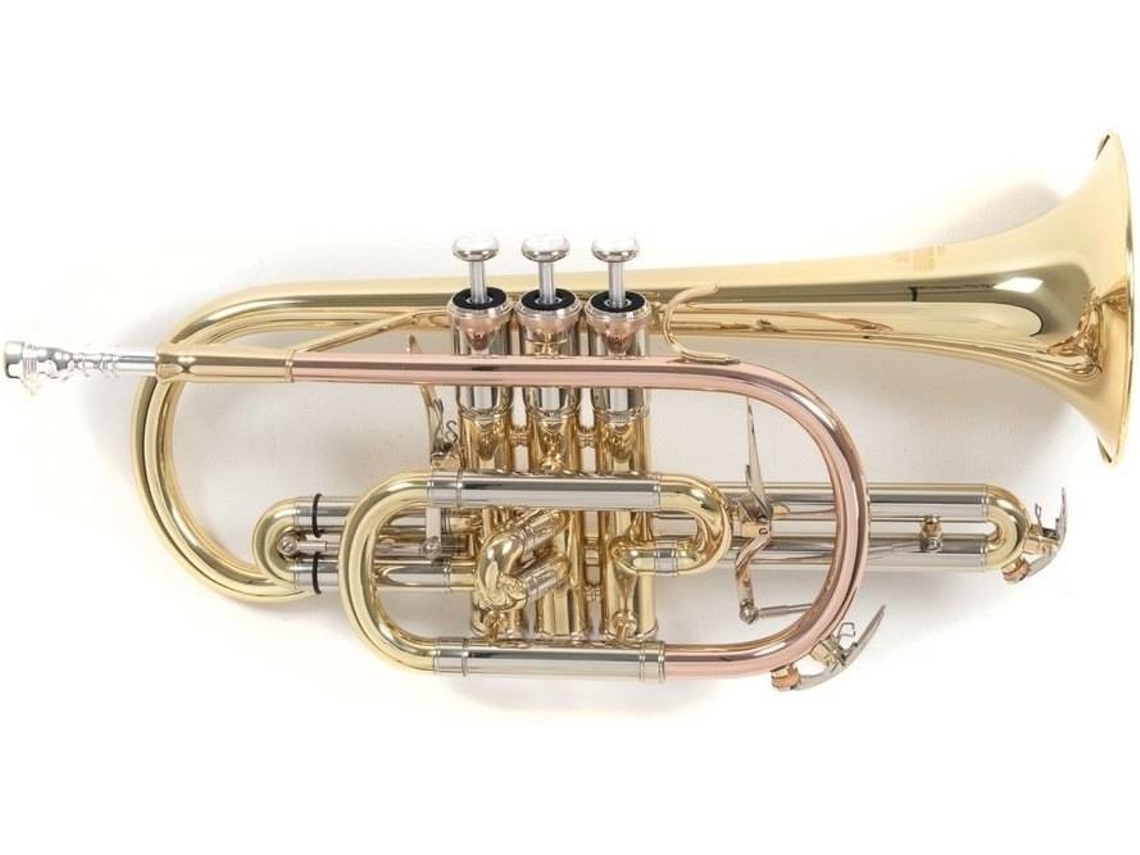 Corneta ROY BENSON Sib Cr-302