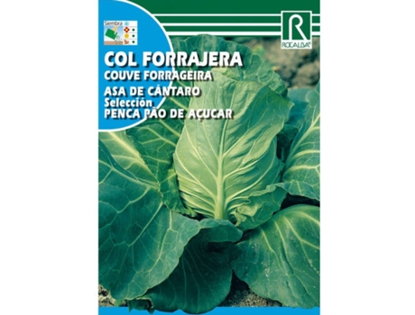 Semilla ROCALBA Col Ala de Cántaro