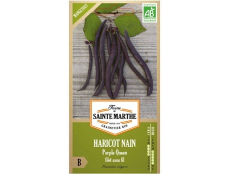 Semillas de Frijol Orgánico LA FERME DE SAINTE MARTHE Variedad Purple Queen