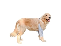 2026-protector De Codo Para Perros Medianos Y Grandes, Rodilleras Antidesgaste, Protección Articular, Ropa Para Mascotas