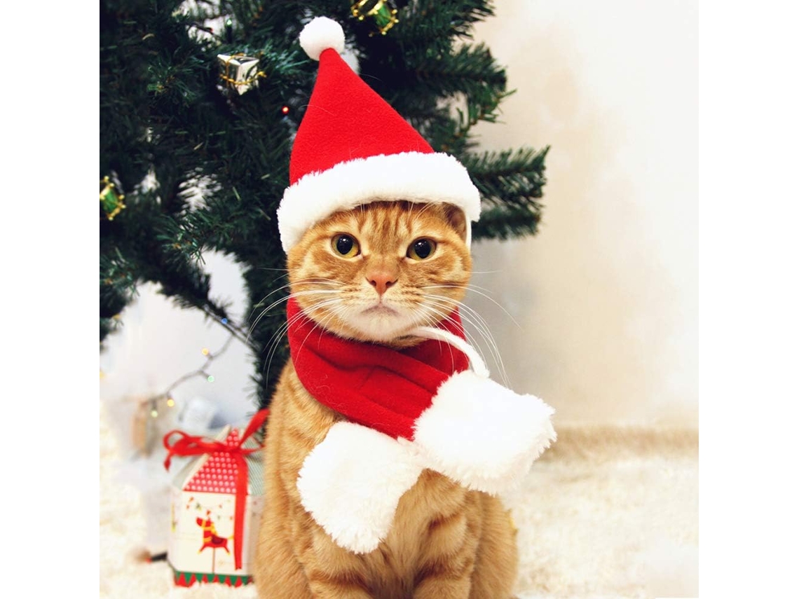 Gorro de Papá Noel para gato con bufanda Conjunto de ropa navideña para perro y gato